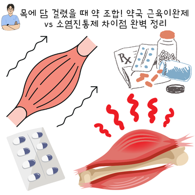 목에 담 걸렸을 때 약 조합! 약국 근육이완제 vs 소염진통제 차이점 완벽 정리