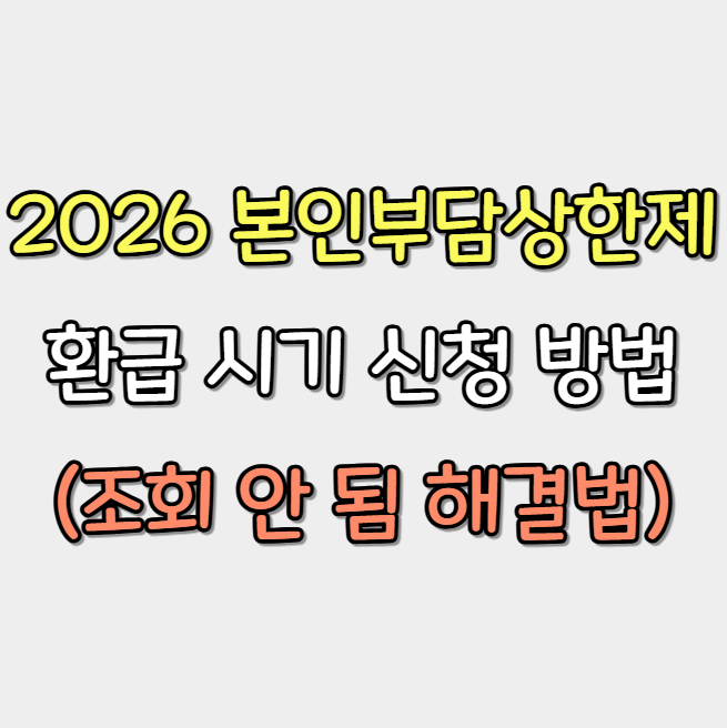2026 본인부담상한제 환급 시기 및 신청 방법 (조회 안 됨 해결법)