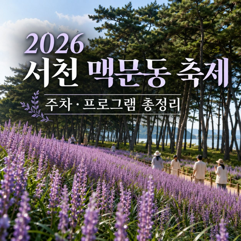 2026 서천 맥문동 축제 주차·프로그램 총정리