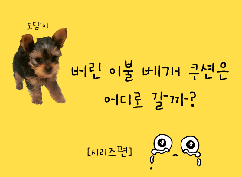 버린 이불·베개·쿠션은 어디로 갈까? 헌옷수거함에 넣으면 안 되는 이유