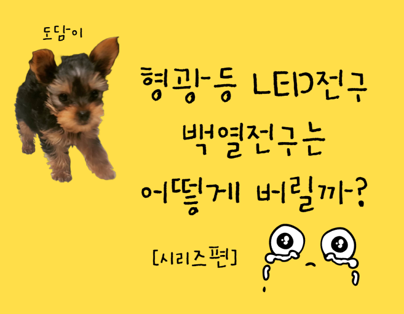 형광등·LED전구·백열전구는 어떻게 버릴까? 같은 전구인데 버리는 방법이 다른 이유