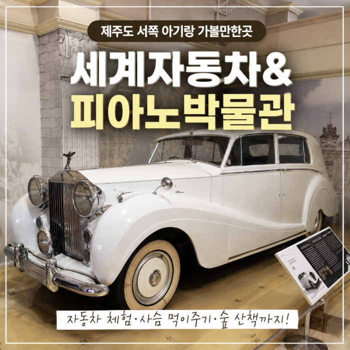 제주도 서쪽 아기랑 가볼만한곳 세계자동차&피아노박물관, 생각보다 훨씬 좋았던 곳