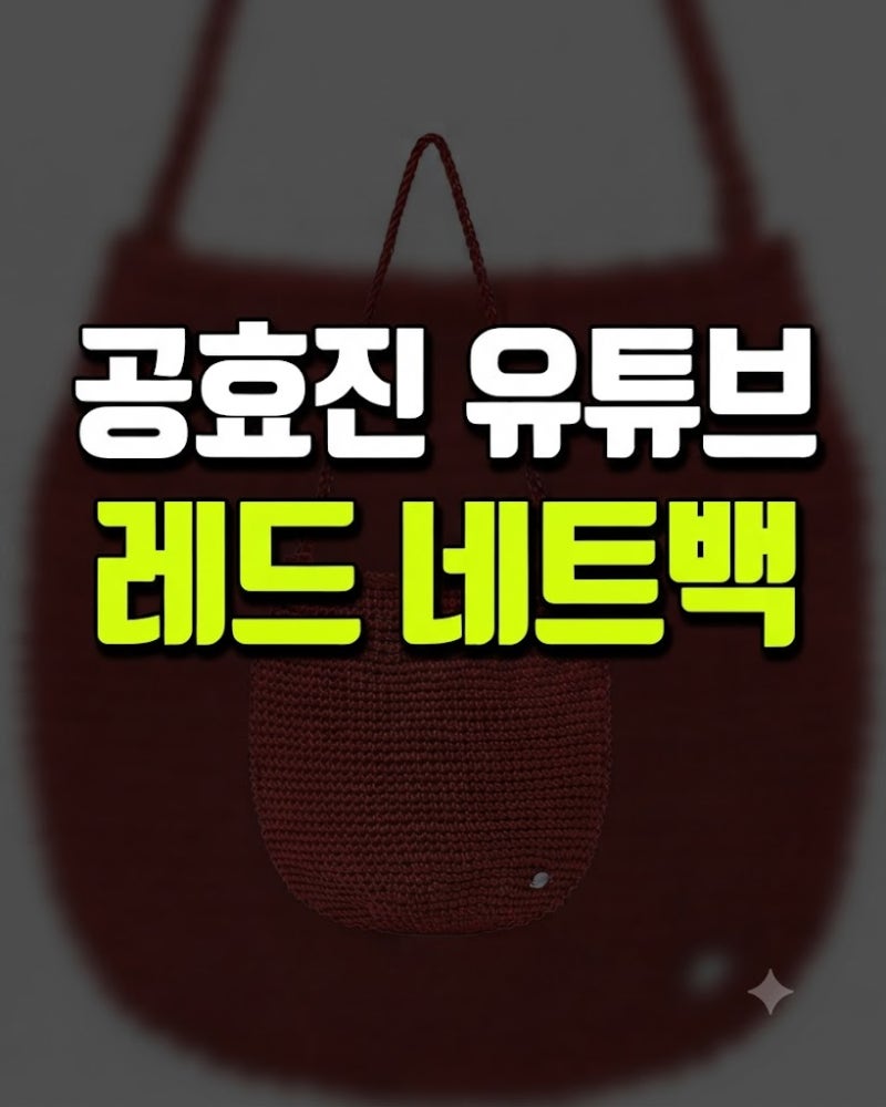 공효진 유튜브 속 레드 네트백 정체, 아모멘토 핸드메이드 가죽 백 정보