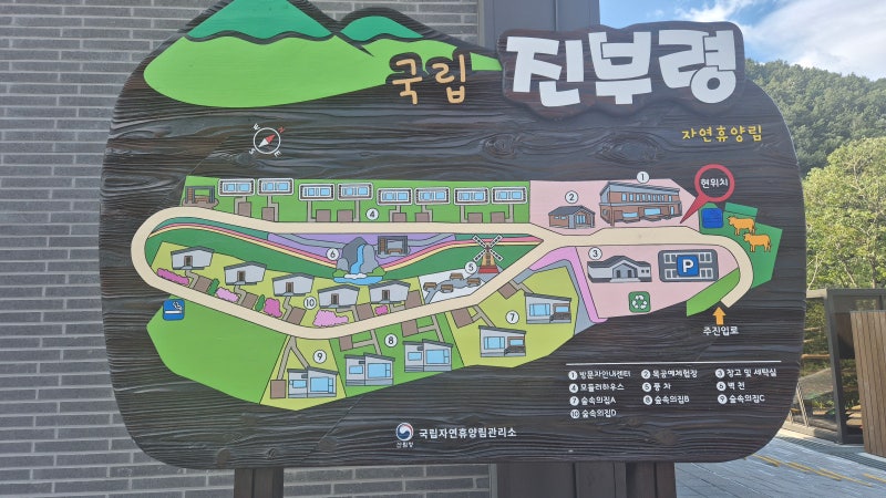 진부령자연휴양림 숙박 후기(숲속의집 송지호)
