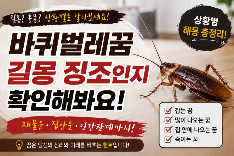 바퀴벌레꿈 길몽 징조인지 확인해봐요!