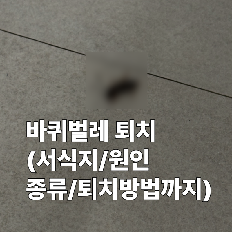 바퀴벌레 없애는법 총정리 (서식지 원인부터 종류별 완벽 퇴치까지)