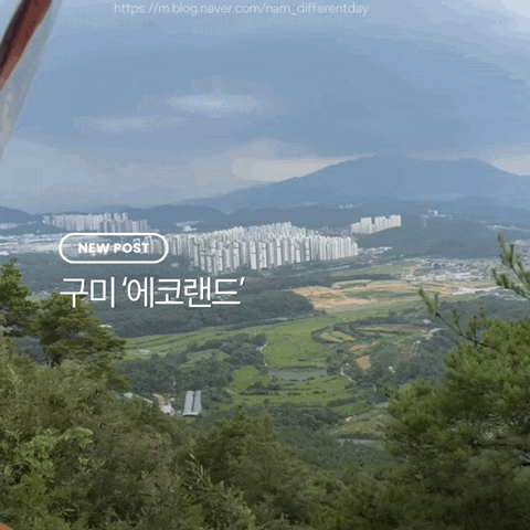 구미 에코랜드 아이와 가볼 만한 곳! 모노레일·실내체험 총정리(구미 실내 가볼 만한 곳)