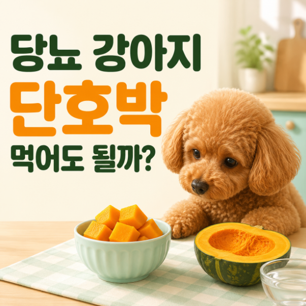 당뇨 강아지 단호박 먹어도 될까? 안전한 급여량 정리