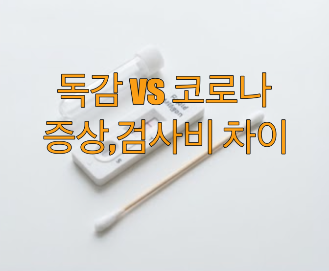 독감 코로나 증상 차이, 검사비는 얼마나 다를까?