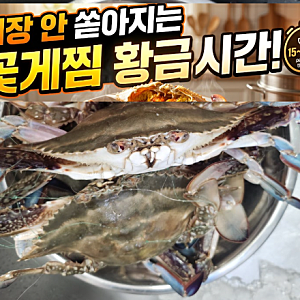 가을 숫꽃게 2kg 가격 시세 및 숯꽃게 손질 세척법, 실패 없는 꽃게찜 찌는 시간 (암꽃게 맛 비....