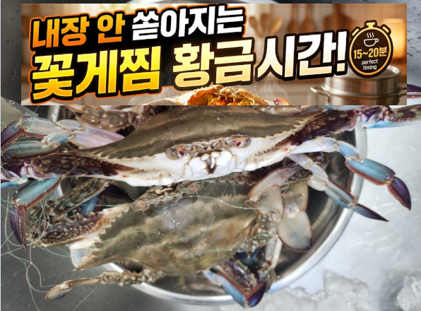 가을 숫꽃게 2kg 가격 시세 및 숯꽃게 손질 세척법, 실패 없는 꽃게찜 찌는 시간 (암꽃게 맛 비....