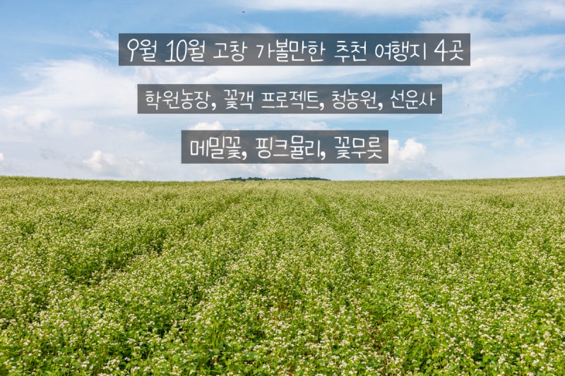 9월 10월 가을여행 전북 고창 가볼만한곳 추천여행지 3곳