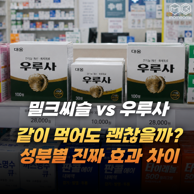 "피곤해서 사 먹으려는데요" 밀크씨슬 vs 우루사 약국가기 전 따져봐야 할 차이