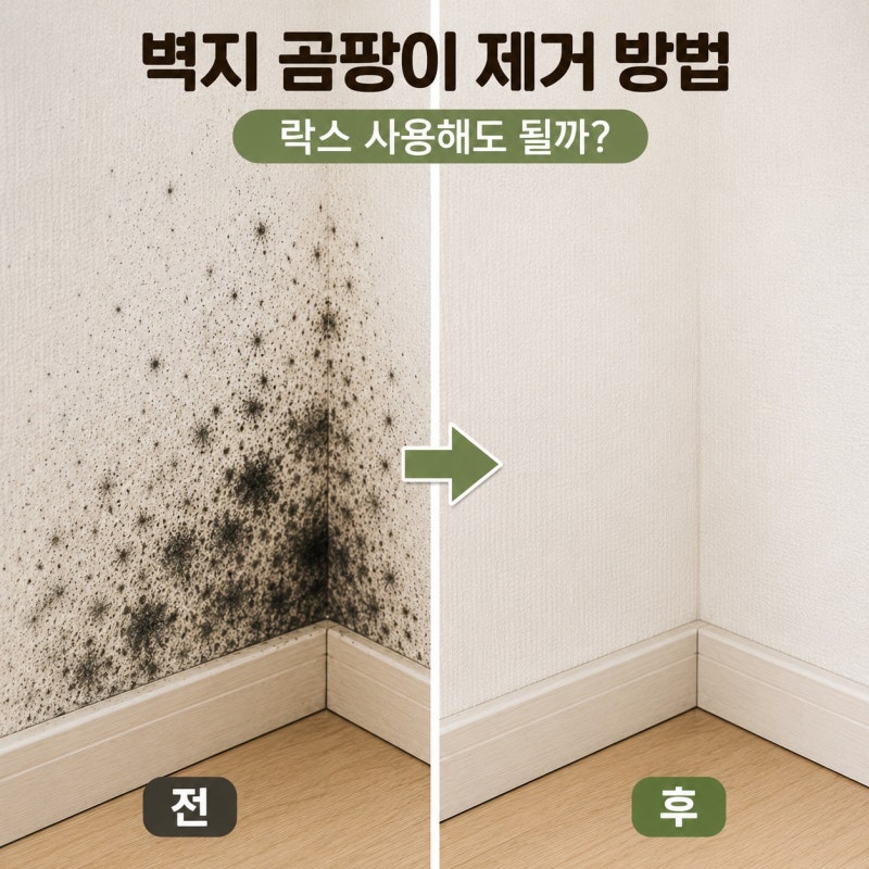 벽지 곰팡이 제거 방법 락스 사용해도 될까