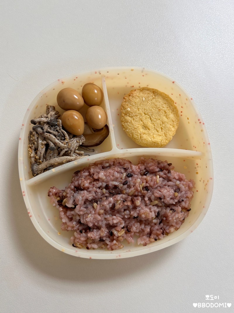 유아식 반찬 아기 컬리플라워 치즈볼 레시피