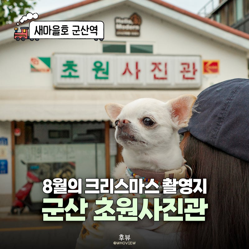 군산 가면 꼭 찍어야 할 곳, 애견동반 8월의 크리스마스 초원사진관