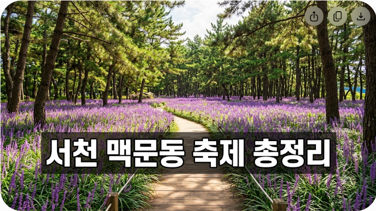 2026 서천 장항 맥문동 꽃축제 일정과 주차 및 핵심 관람 포인트 총정리