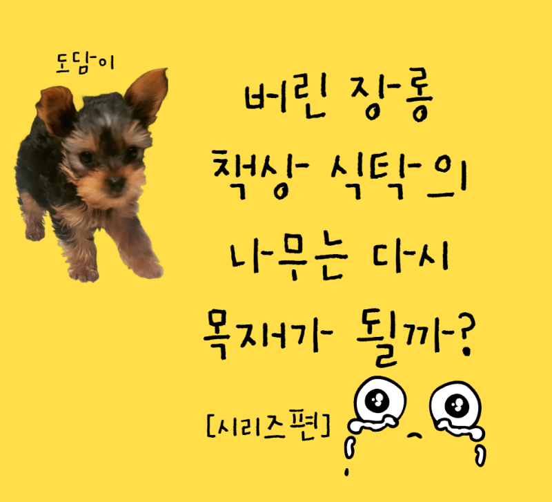 버린 장롱·책상·식탁의 나무는 다시 목재가 될까? 폐가구 속 목재의 마지막