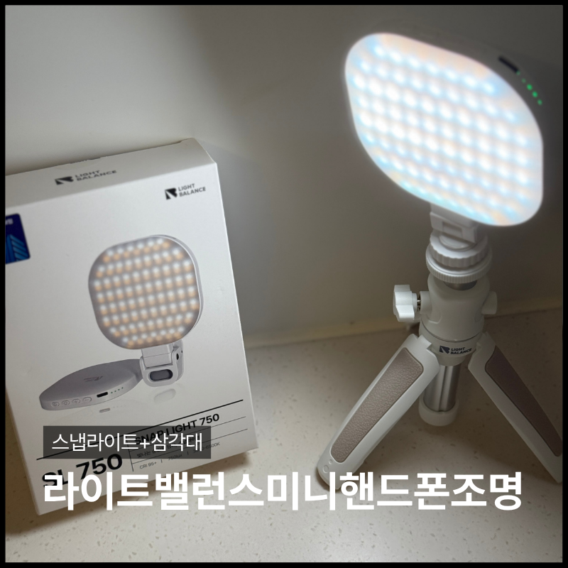 휴대용 조명 나에게 딱 맞는 라이트밸런스 SL-750 삼각대 세트 조명