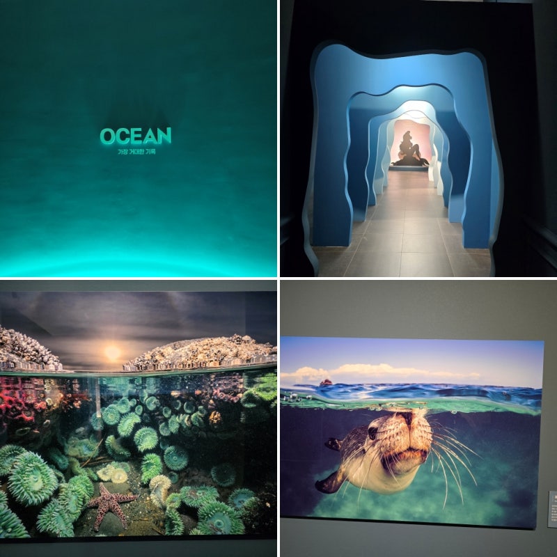 충무아트센터 내셔널지오그래픽 OCEAN 오션 사진전 전시 주차 할인 운영기간 관람시간