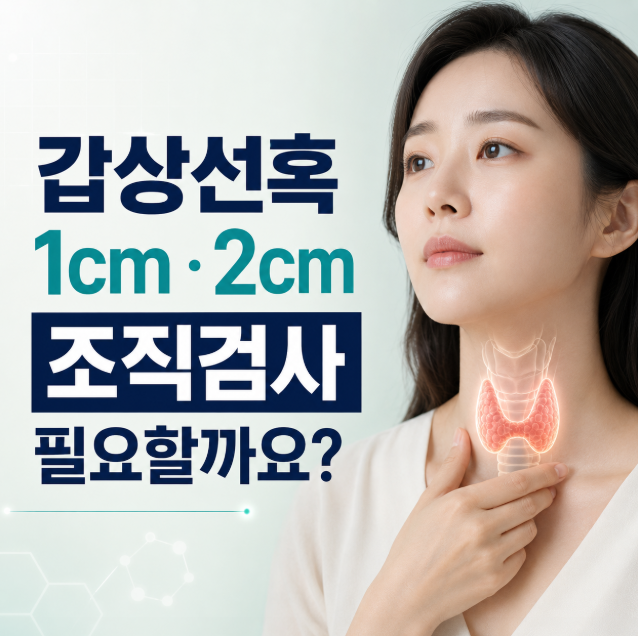 갑상선혹 1cm·2cm, 크기에 따라 조직검사가 필요할까요?