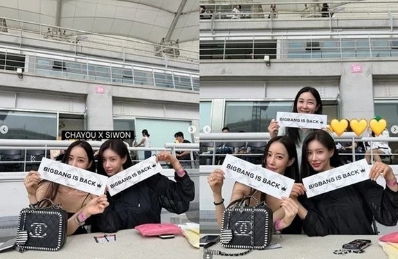 빅뱅 콘서트에 나타난 이병헌 협박녀.. 팬들 "오빠들 조심해" 난리난 이유 총정리