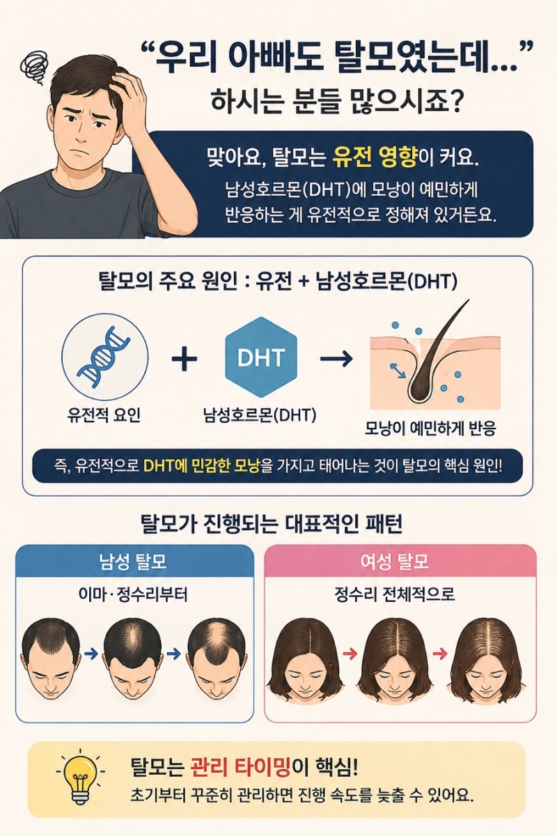 탈모의 원인과 예방법