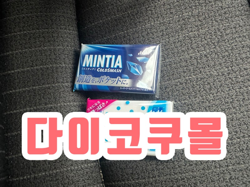 일본 민티아 흔해서 생각도 못 했는데 알고 보니 30년이나 되었다?