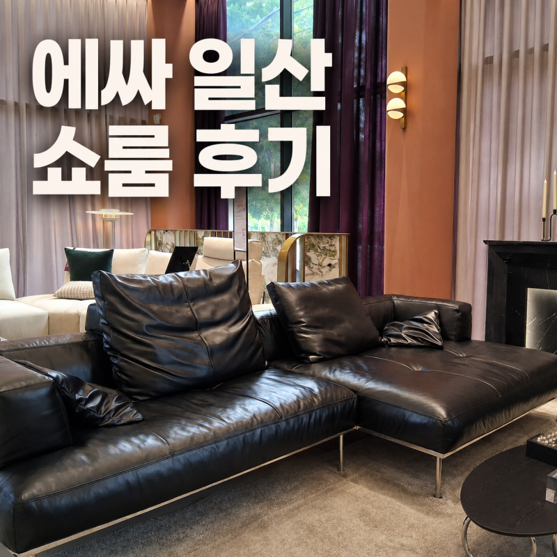 쇼파브랜드 추천 많은 에싸, 패브릭 가죽소파 쇼룸 후기