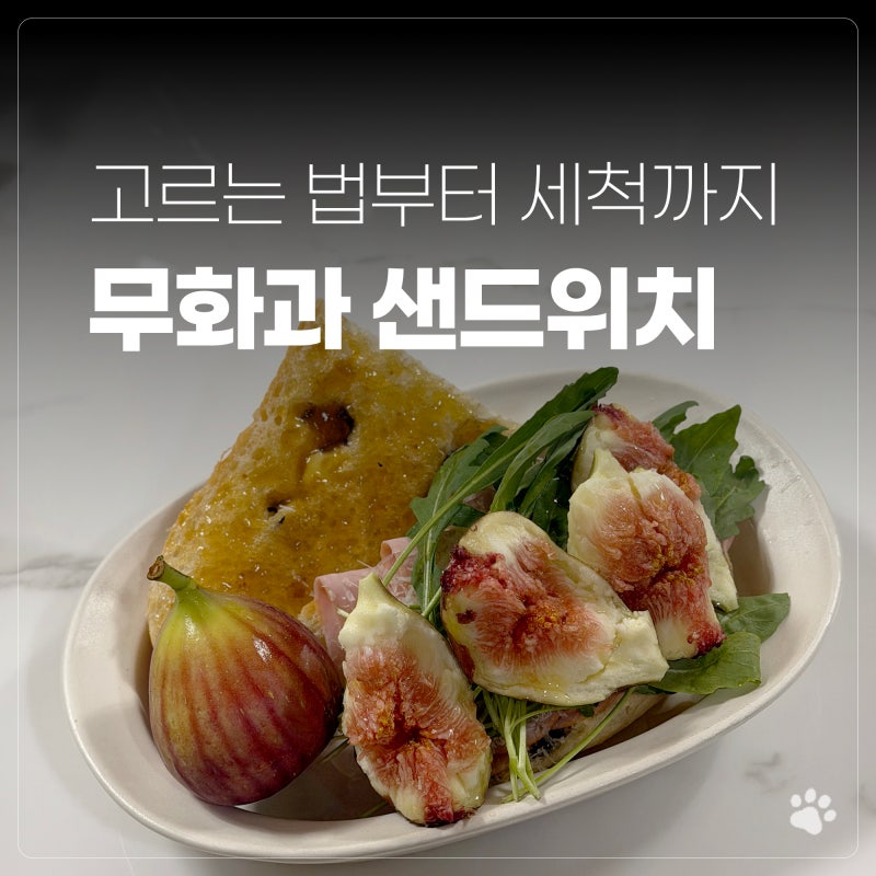 무화과 샌드위치 만들기 고르는 법부터 세척까지