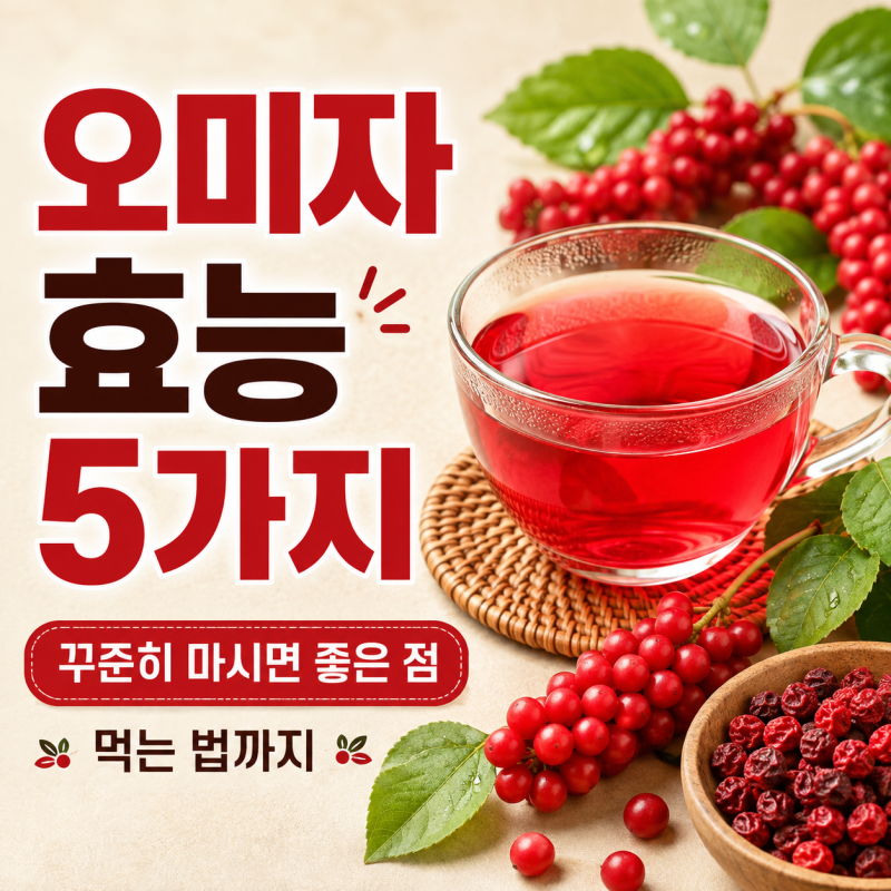 오미자 효능 5가지, 꾸준히 마시면 좋은 점과 먹는 법