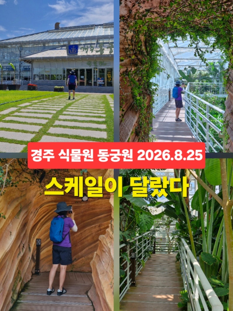 경주 식물원 동궁원 경주 여행 실내 가볼만한곳