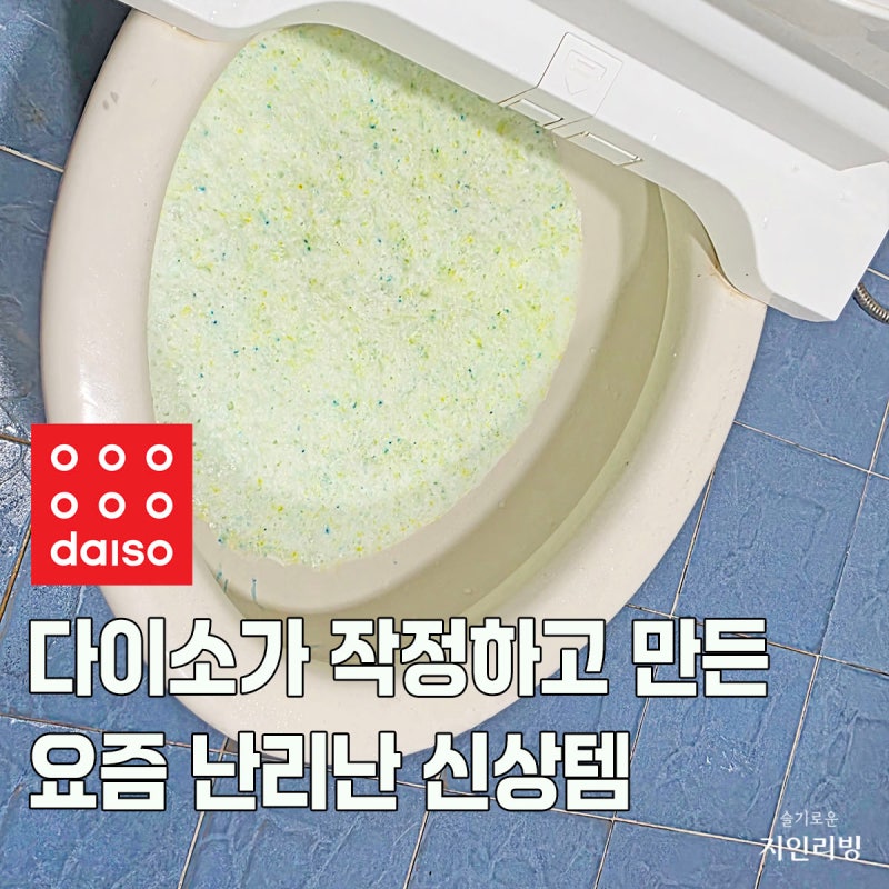 다이소 변기클리너, 변기 찌든때 물때 해결