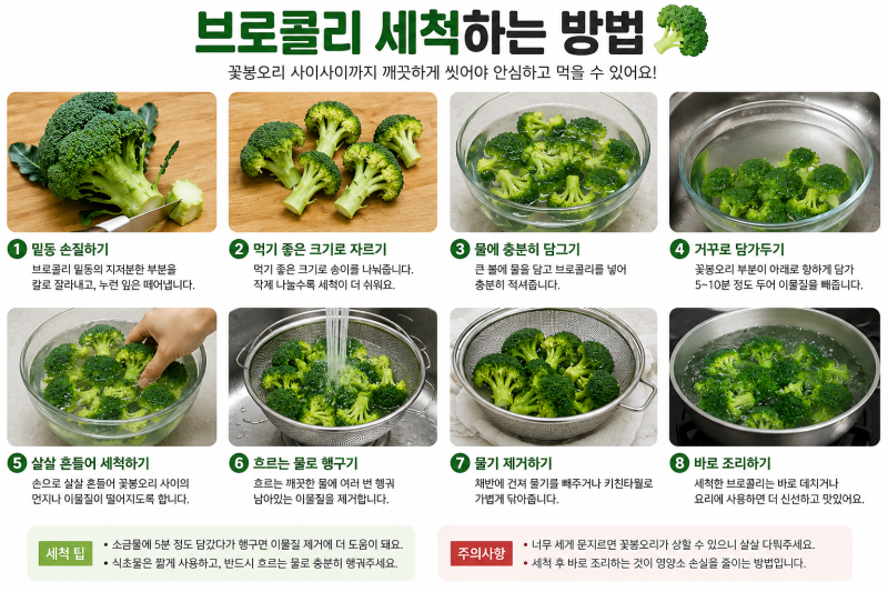 브로콜리 깨끗하게 세척하는 방법