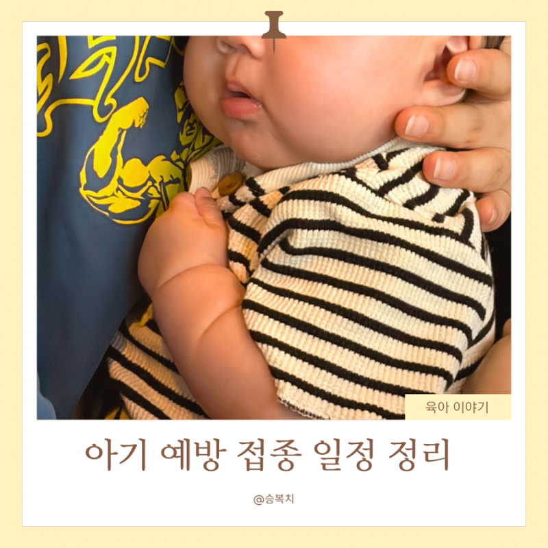 신생아 예방접종 일정 총정리｜출생 직후부터 돌까지 아기 예방접종표