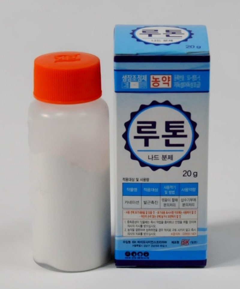메네델 다음은 루톤! 정말 뿌리를 잘 내리게 할까?