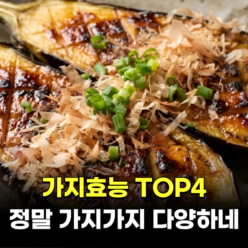 가지효능 TOP4 정말 가지가지 다양하네