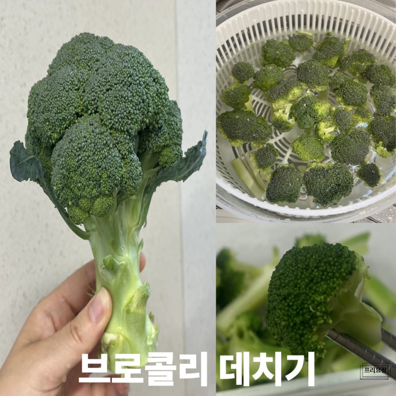 브로콜리 데치기 시간 간단 세척 보관법