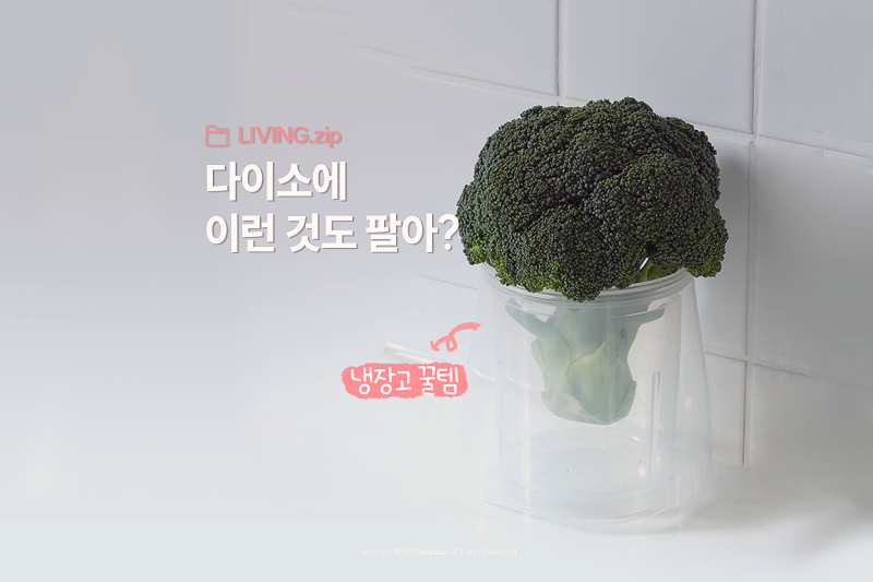 "뻔한 거 말고" 다이소 냉장고 정리템 추천 5가지