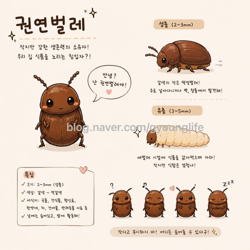 (벌레사진X) 권연벌레 박멸하는 확실한 방법 알려드립니다!