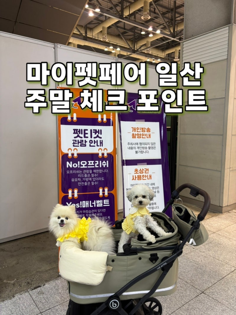 2026 마이펫페어 일산 후기 | 킨텍스 주차·참여브랜드 토일 체크포인트