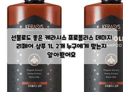 선물로도 좋은 케라시스 프로폴리스 데미지 리페어 샴푸 1L 2개 누구에게 맞는지 알아봤어요