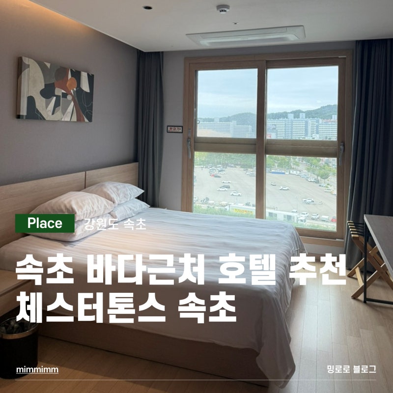 속초 바다 근처 수영장 숙소ㅣ체스터톤스 속초 내돈내산 모바일 체크인 후기