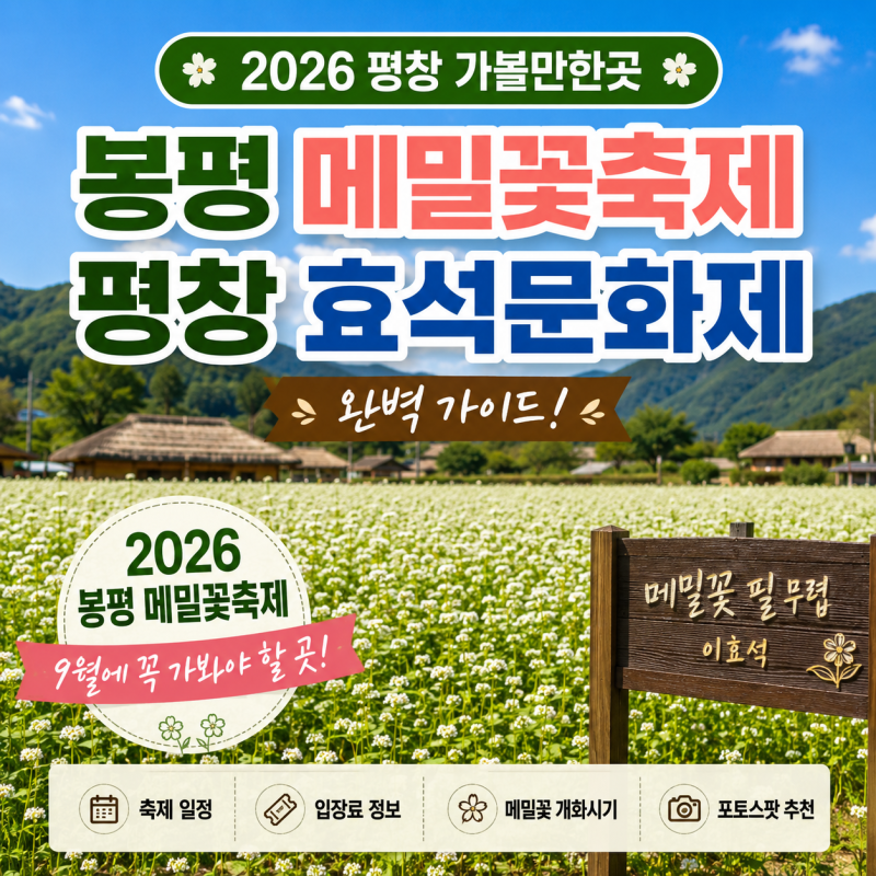 [2026 평창 가볼만한곳] 봉평 메밀꽃축제·평창 효석문화제 완벽 가이드! 일정·입장료·메밀꽃....