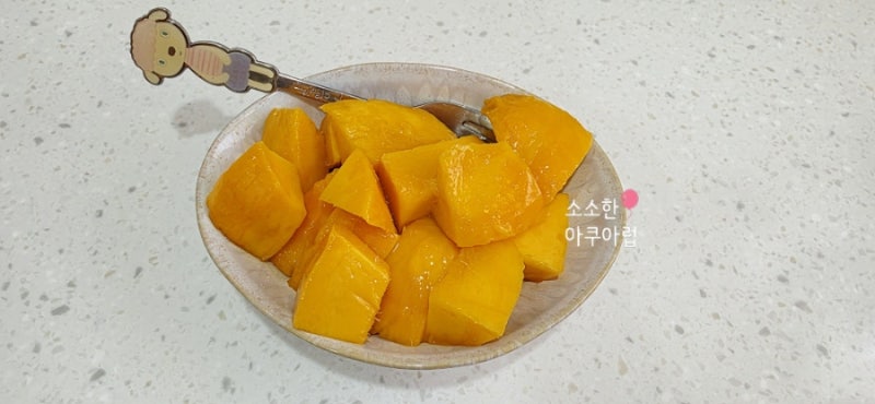제주 애플망고 농장 택배 후기 제주 신라호텔 망고빙수 납품 매장 제주테마농원