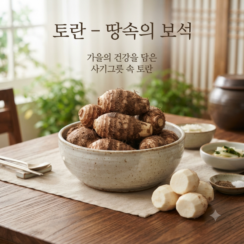 토란효능과 추석요리｜가을 제철 토란 제대로 알고 먹기