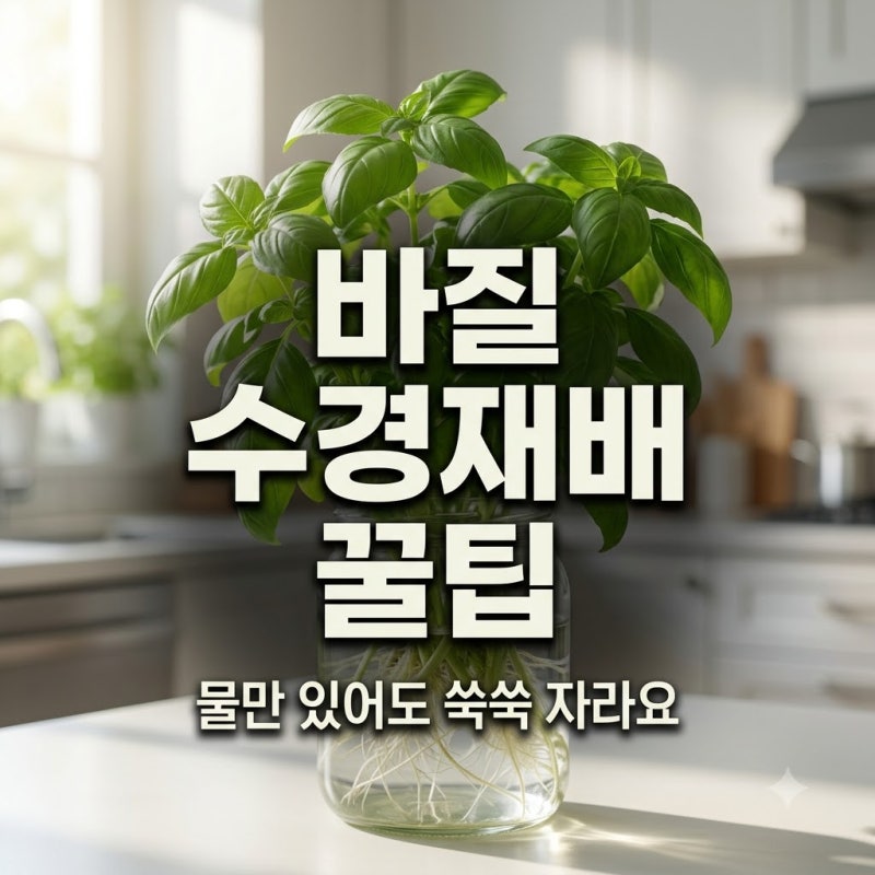 바질 수경재배 가능할까? 초보자도 실패 없는 실내 키우기 꿀팁