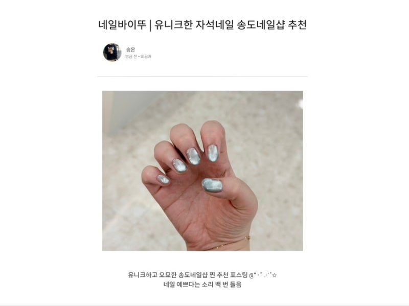 보는 사람마다 예쁘다고 칭찬한 트렌디한 자석네일 송도네일샵 네일바이뚜 추천 솔직 후기 |....