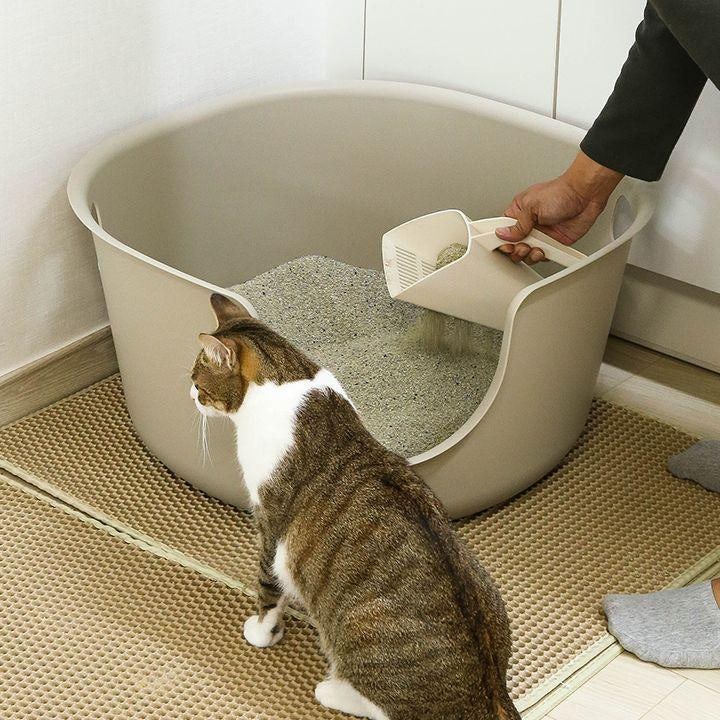 고양이 화장실 냄새를 줄이는 효과적인 방법 10가지｜집사들이 꼭 알아야 할 관리법