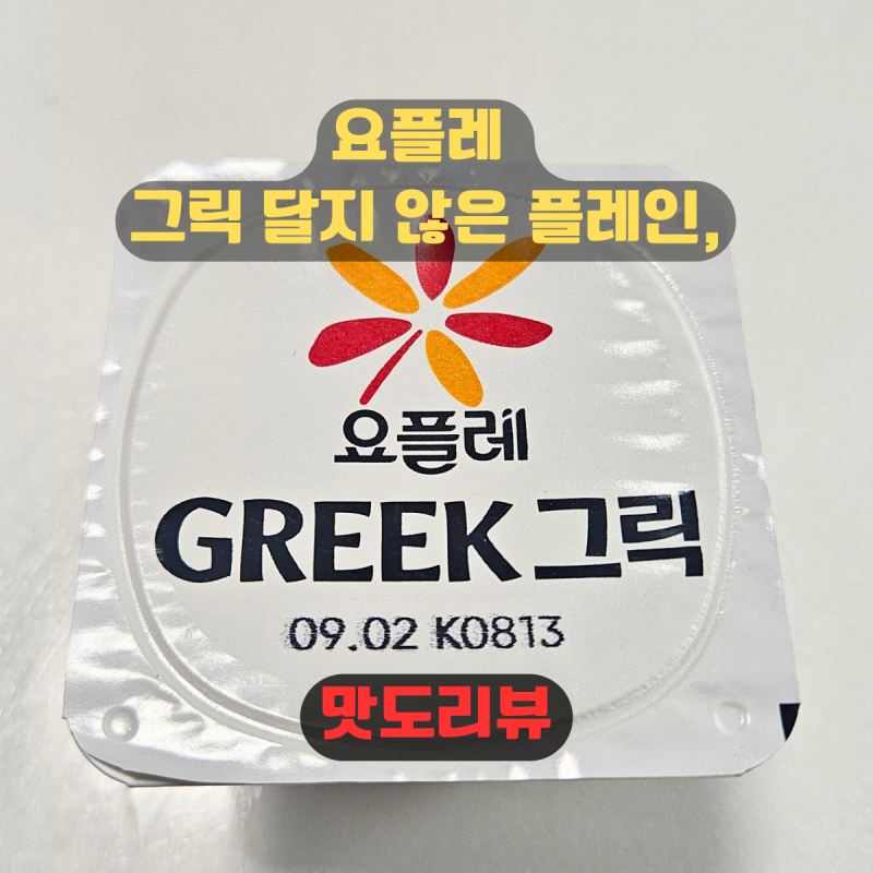 다이어트 아침 간식 추천! 요플레 그릭 달지않은 플레인 칼로리와 영양정보